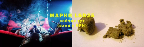 хмурый Белокуриха