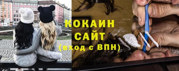 хмурый Белокуриха