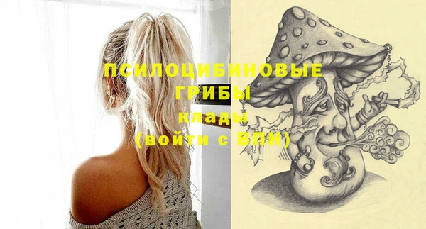 хмурый Белокуриха