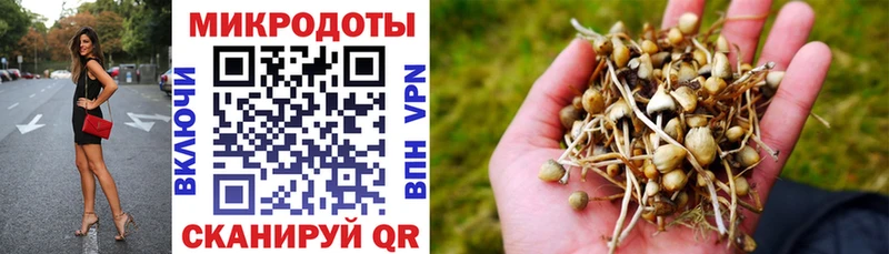 Галлюциногенные грибы Psilocybe  Купить  Вышний Волочёк 