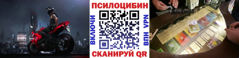 Псилоцибиновые грибы прущие грибы Вышний Волочёк